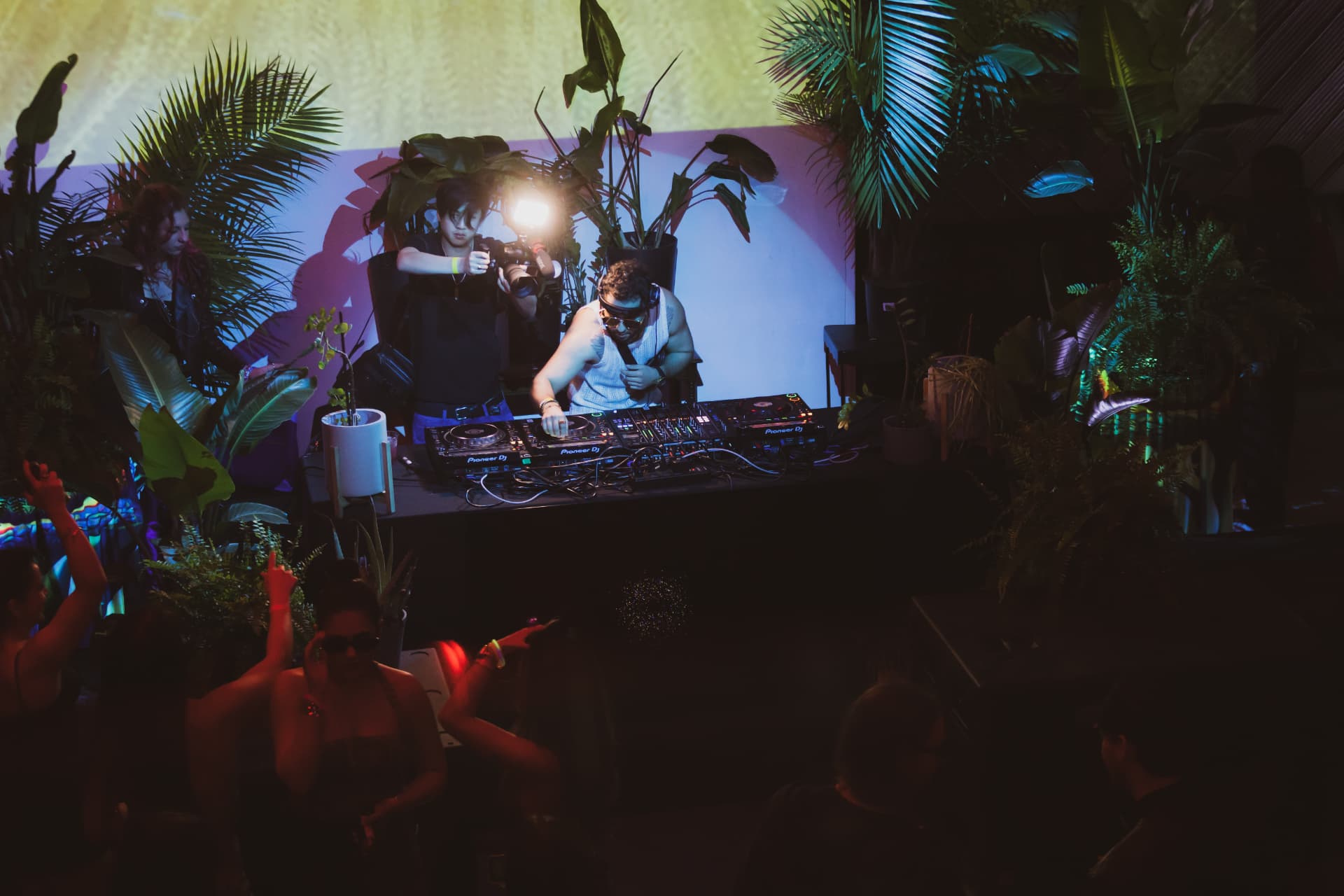 Jungle stage set, crowd hands up